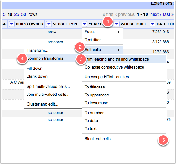 OpenRefine应用案例的图片 13 get-rid-of-extra-whitespace 13