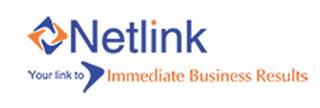 NetLink_Logo 8
