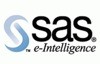 SAS_Logo 13